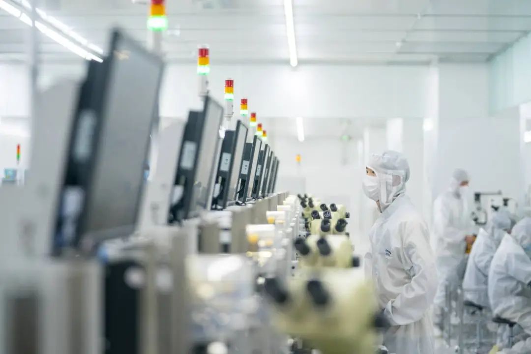 菠菜担保网 - 最权威的全网担保平台